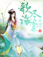 帝森抽油烟机seo黑帽